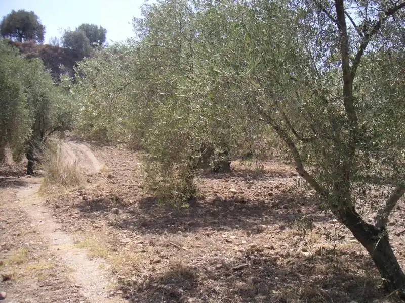 Casa o chalet en venta en Ugíjar