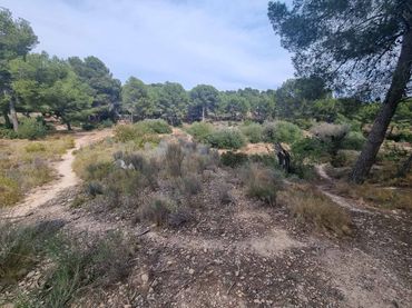 Terreno residencial en venta en Escandinavia - Cautivador