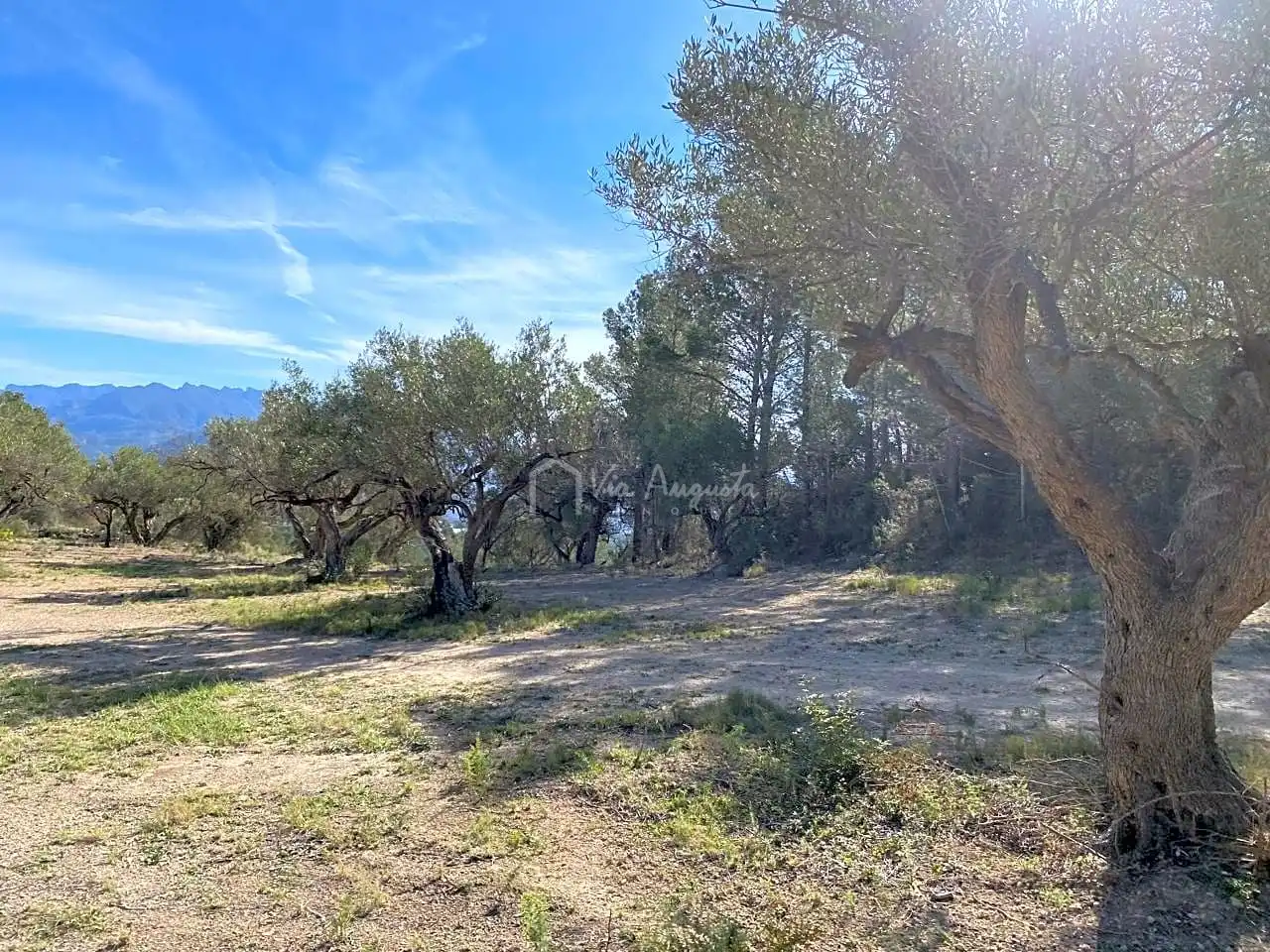 Terrain rustique à vendre à La Baixada, imagen 28
