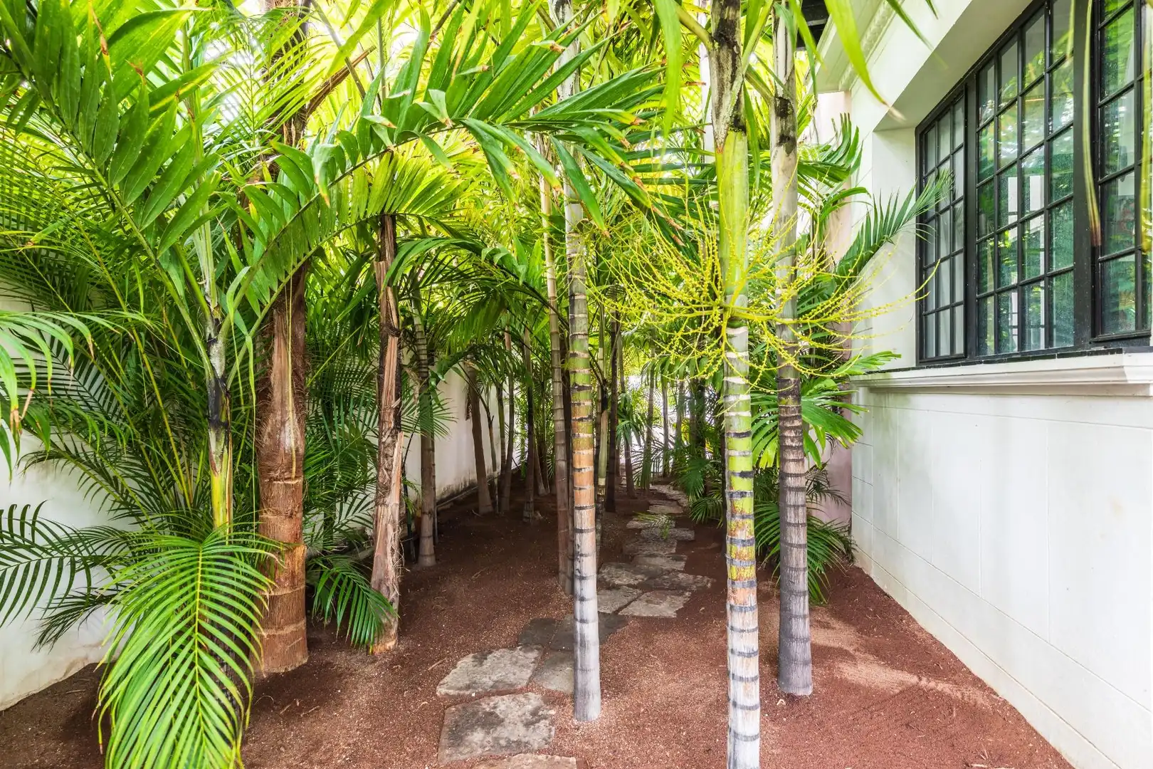 Houses for rent in Las Palmas de Gran Canaria  with Air Conditioner, Terrace and Storage room