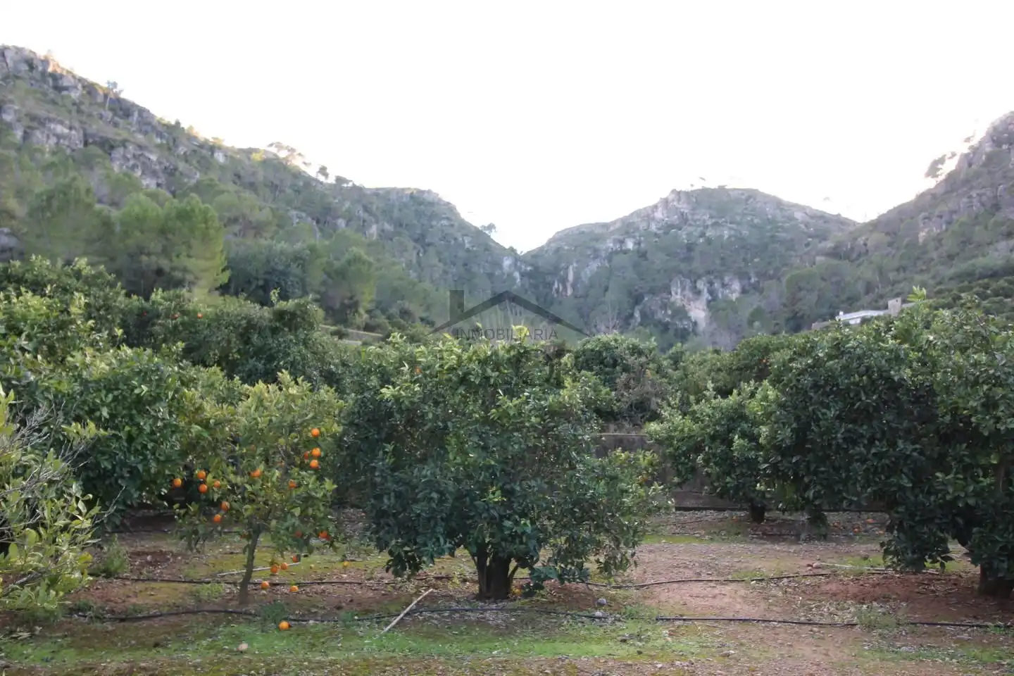 Terrenos y solares en venta en barranc del salt, imagen 17