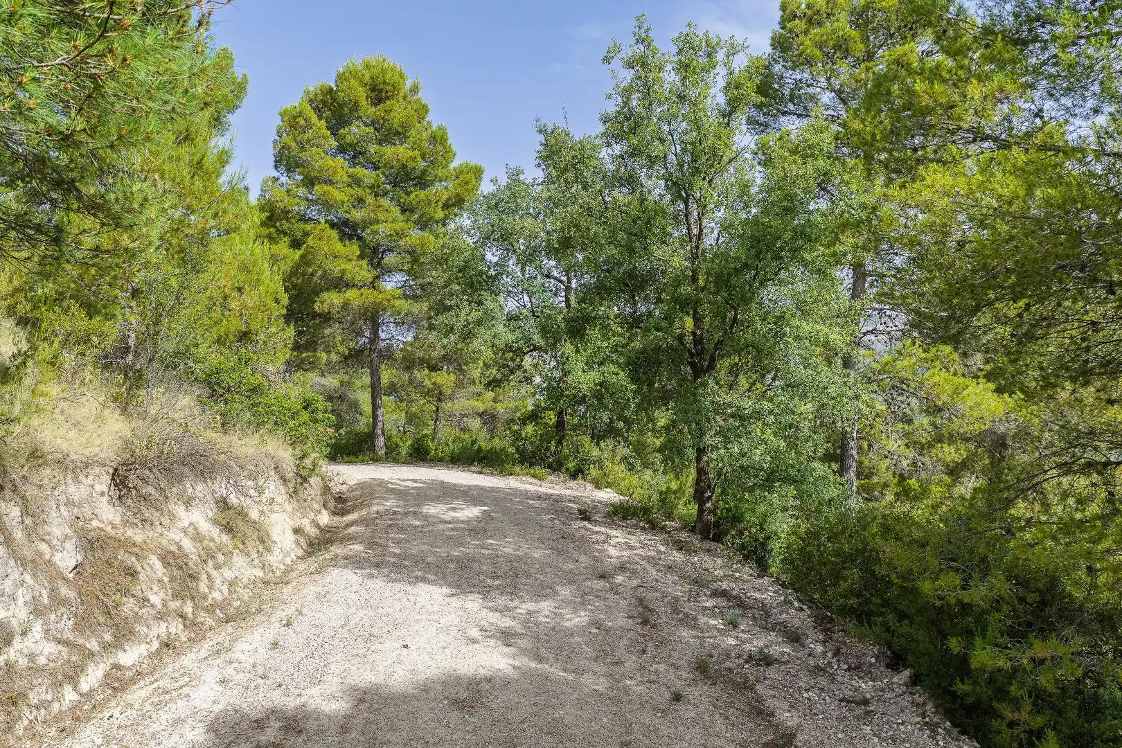 Finca rústica en venta en Moratalla con Piscina