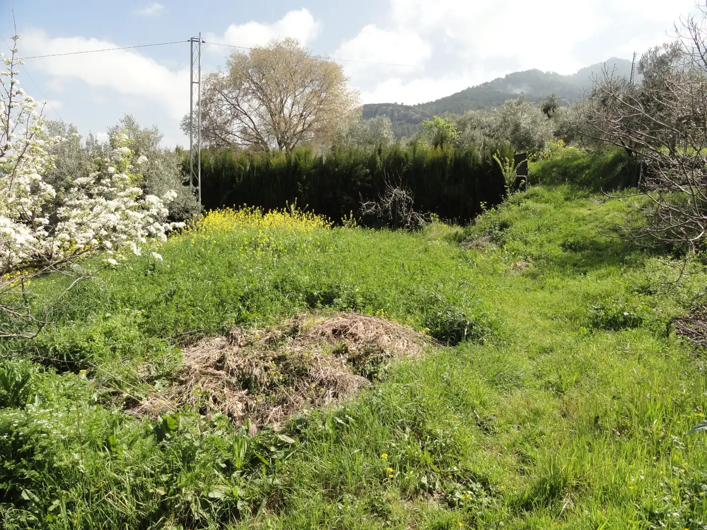 Land for sale in La Iruela