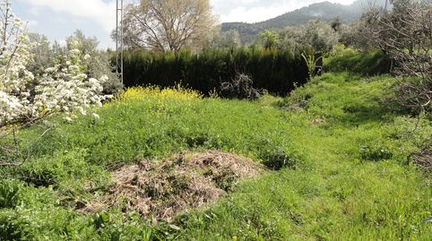 Foto 5 de Terreno en venta en La Iruela, Jaén