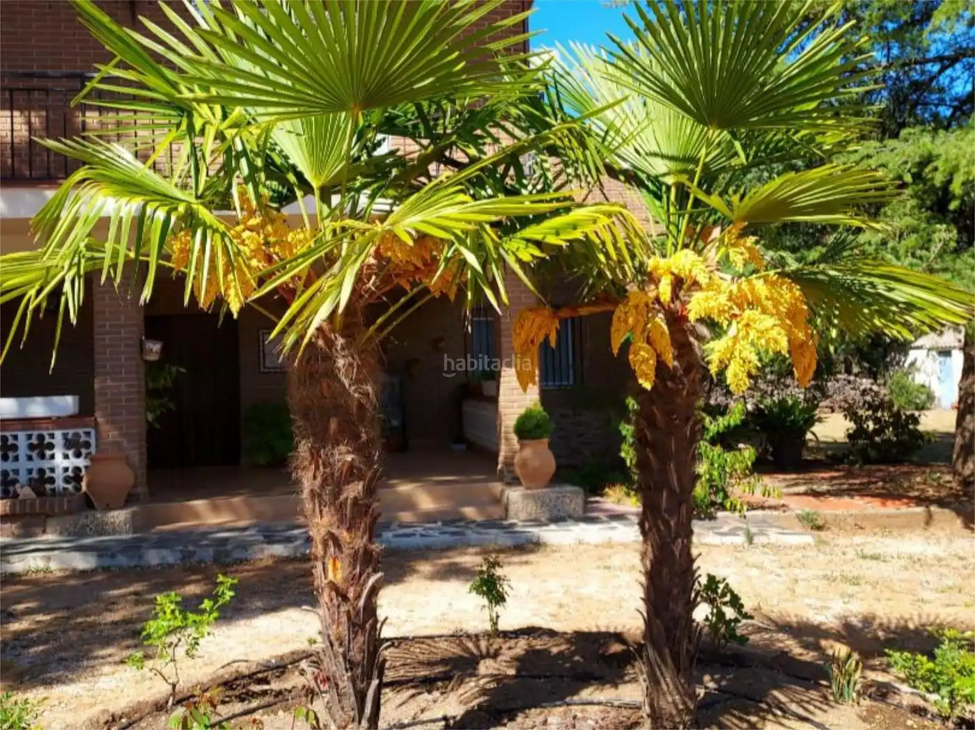 Casa en venta en Plaza Carnicería 9, imagen 9