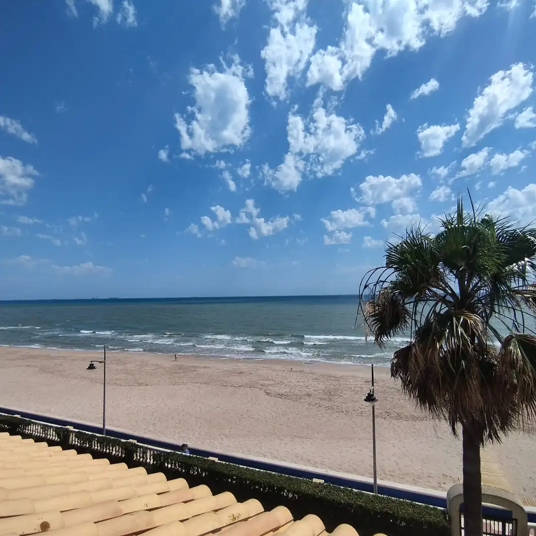 Exterior view of Detached homes for sale in Sueca