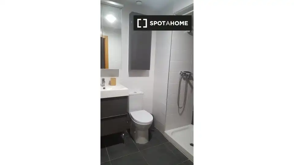 Baño de Piso de alquiler en Alicante / Alacant con Aire acondicionado, Calefacción y Amueblado