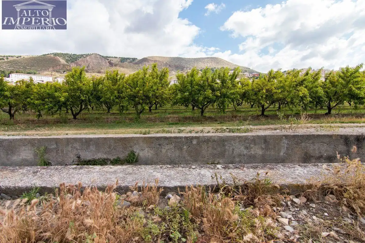 Finca rústica en venta en Granada