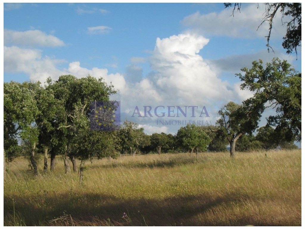 Finca rústica en venda en Santiago de Alcántara