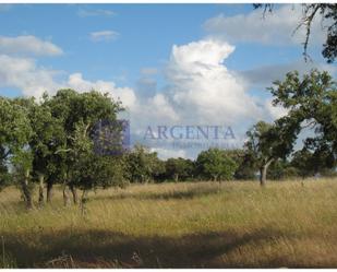 Country house for sale in Santiago de Alcántara