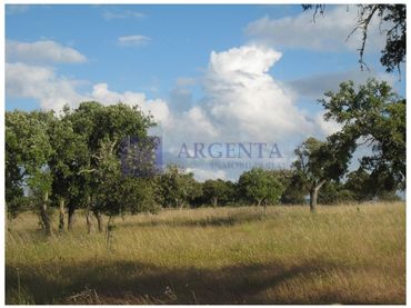 Casa rústica en venta en Santiago de Alcántara