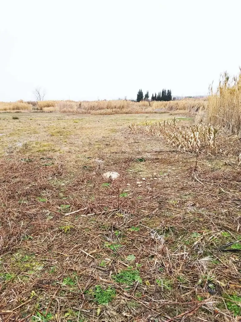 Terreno en venta en Fontellas