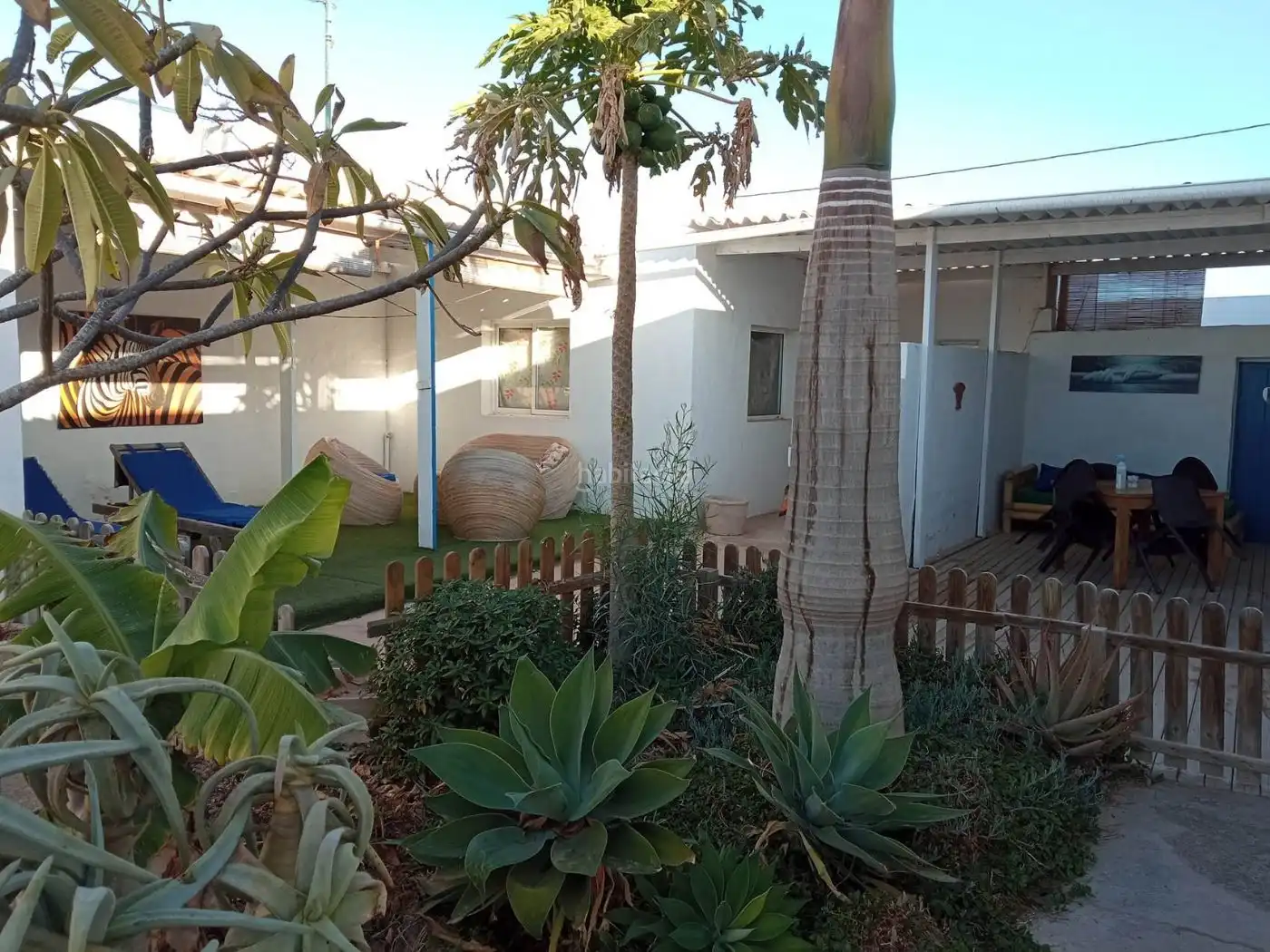 Casa con jardín en venta en Calle Central 36, imagen 12