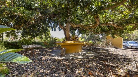 Photo 4 of Houses for sale in Camino Serreria, 222, Los Baldíos - Geneto - Guajara, San Cristóbal de la Laguna