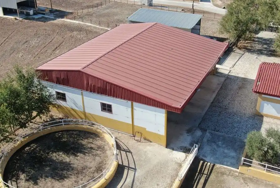 Exterior view of Country homes for sale in Marchena  with Terrace and Swimming Pool
