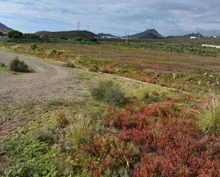 Finca rústica de lloguer en Arona