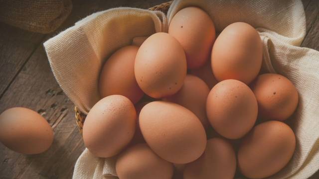 Terreno en Alquiler en Riudecols