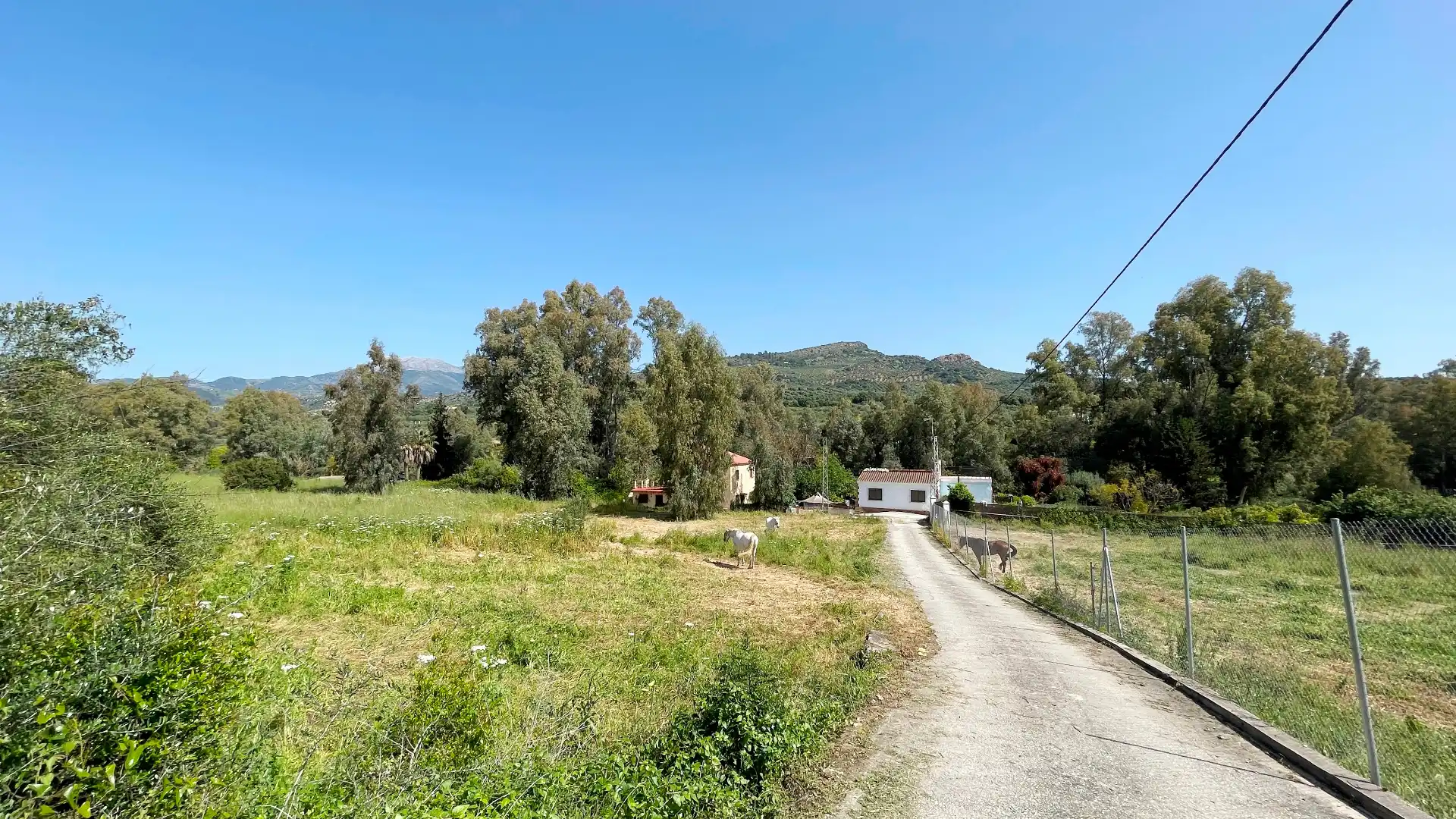Houses for sale in Guaro