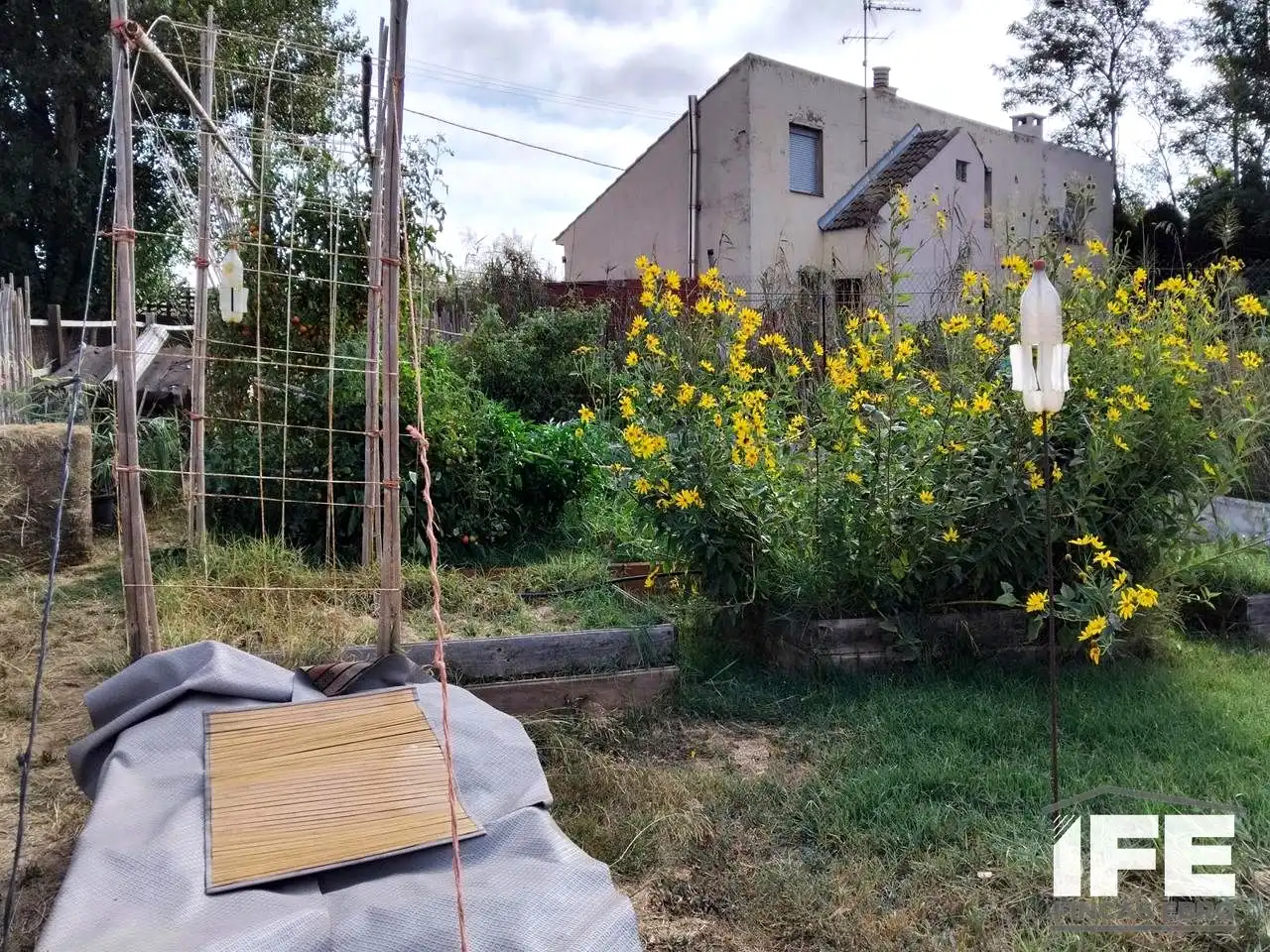 Houses for sale in Grisén  with Heating, Private garden and Terrace