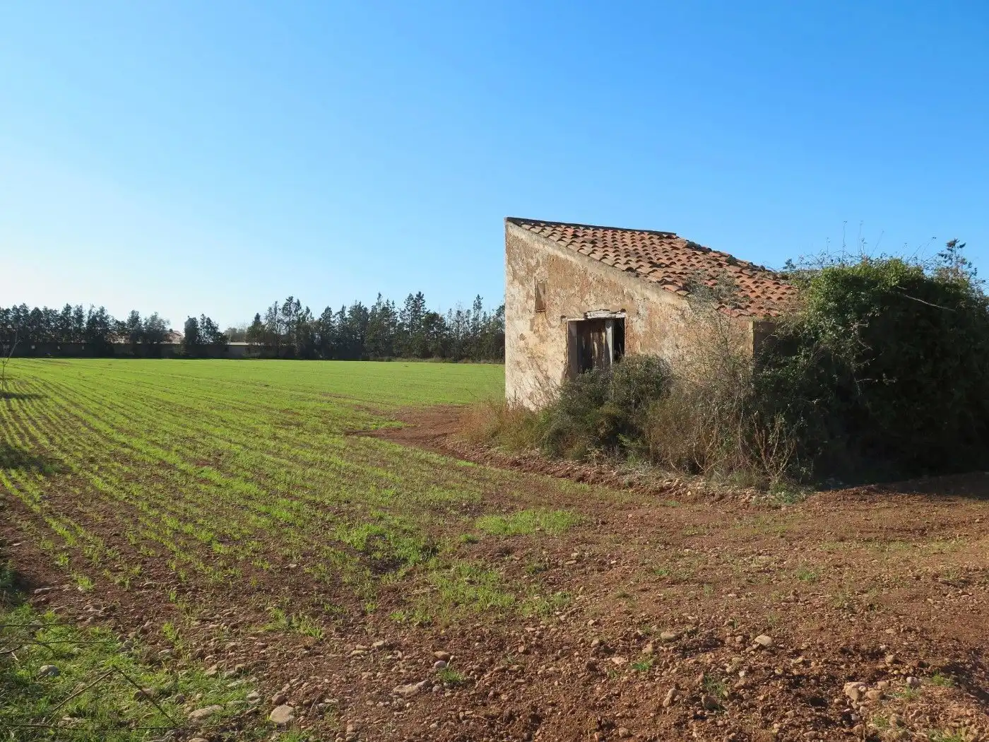 Rural land for sale in Godall, imagen 7
