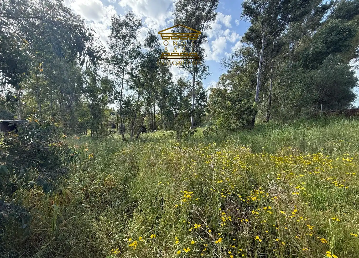 Land for sale in Beas