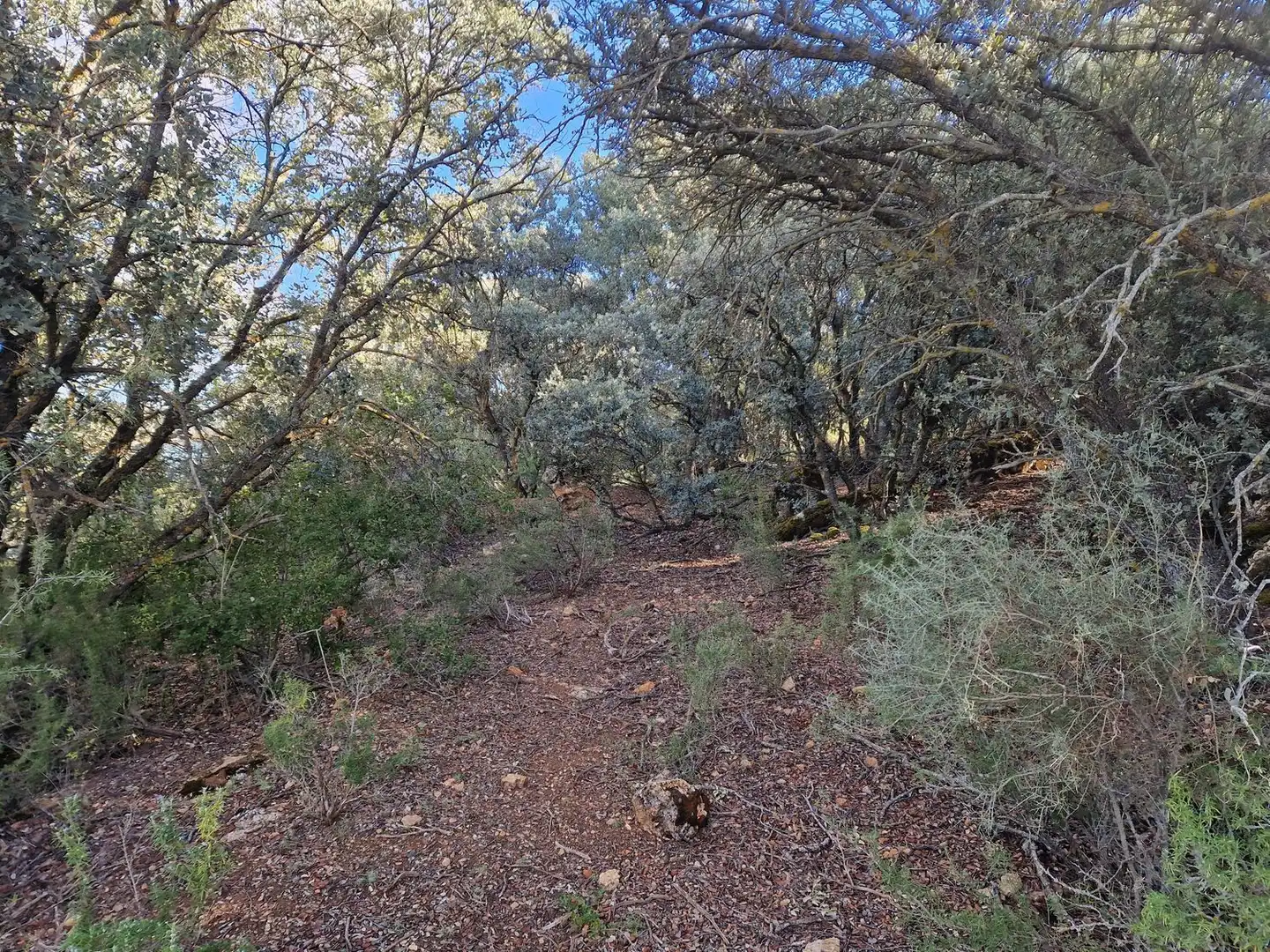 Rural land for sale in Pantano de Peñarroya 0, imagen 8