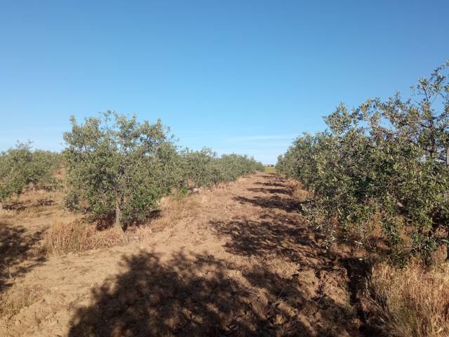 Terreno en Venta en La Coronada