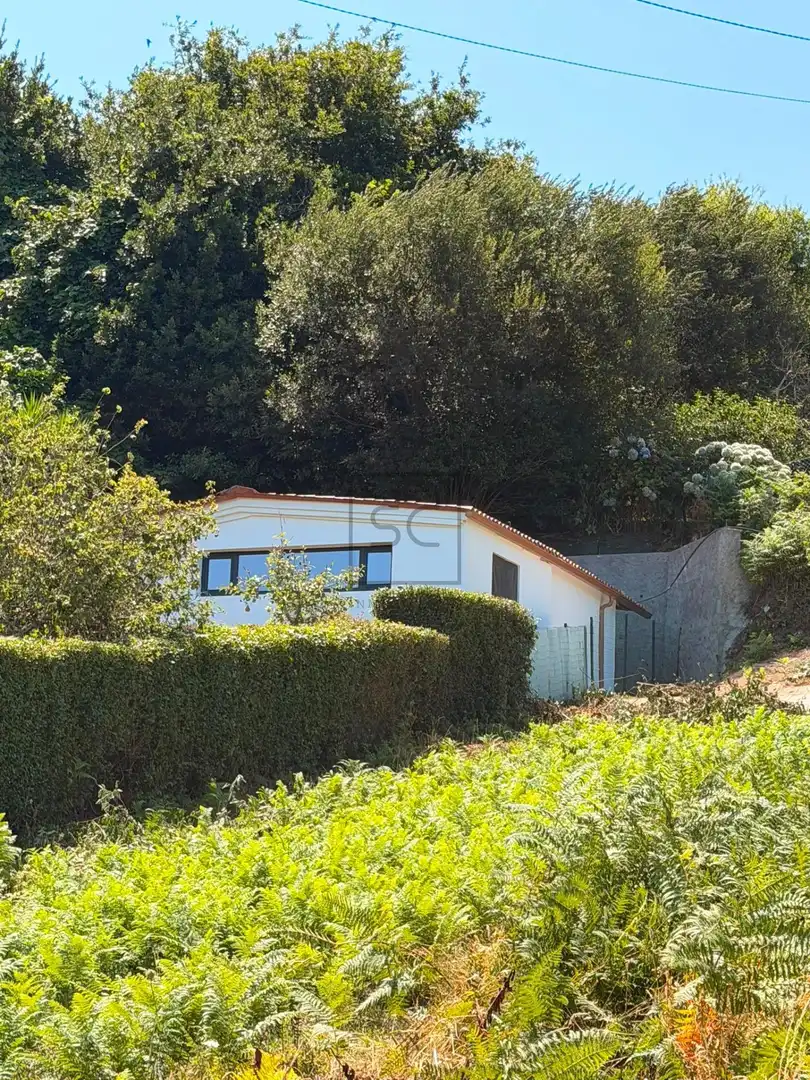 Vista exterior de Casa o chalet en venta en Ferrol con Jardín privado, Terraza y Amueblado