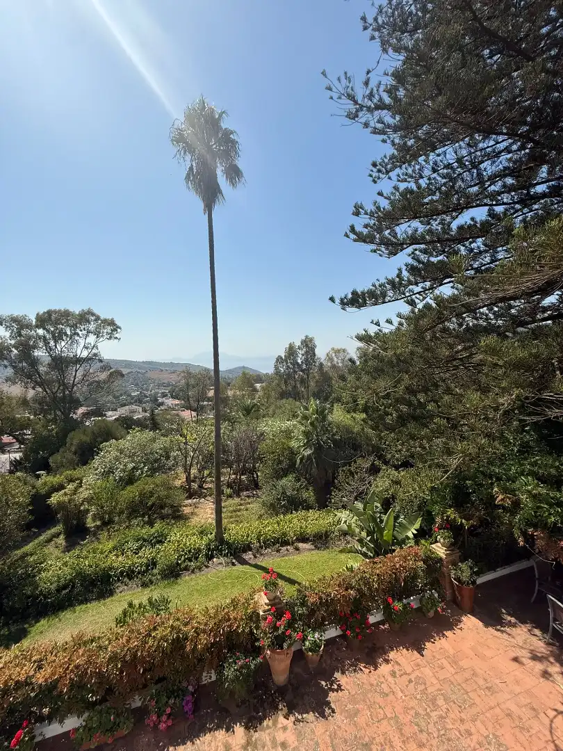 Vista exterior de Casa o chalet en venta en Algeciras con Jardín privado, Terraza y Piscina