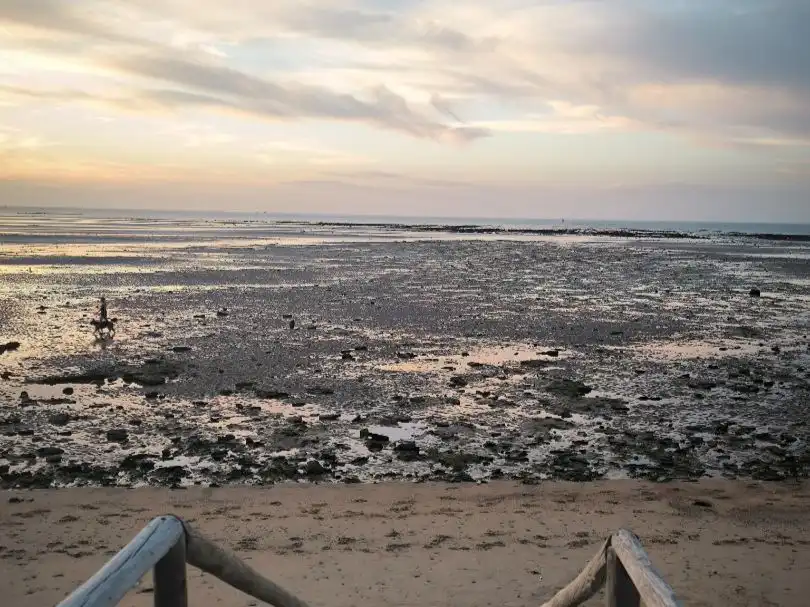 Houses for rent in Sanlúcar de Barrameda, Cádiz