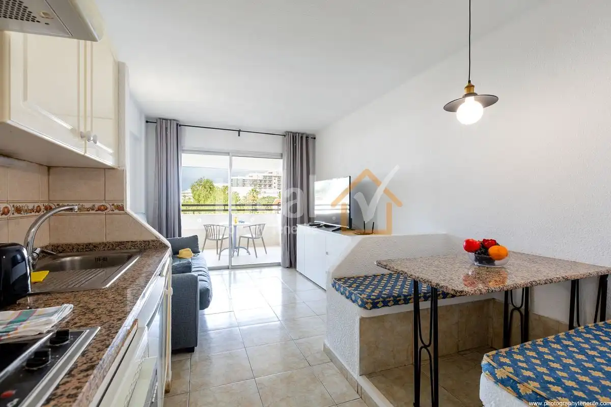 Vista exterior de Estudio en venta en Adeje con Aire acondicionado, Terraza y Amueblado