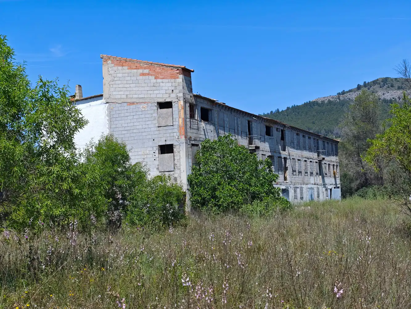 Exterior view of Industrial buildings for sale in Benigànim