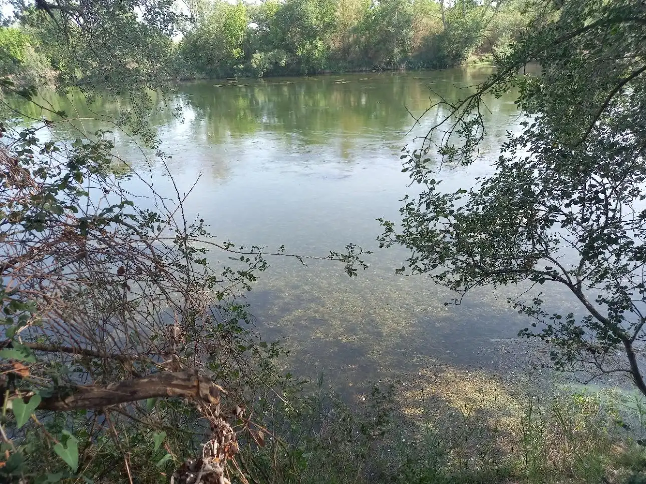 Lands and plots for sale in Ginestar, imagen 11