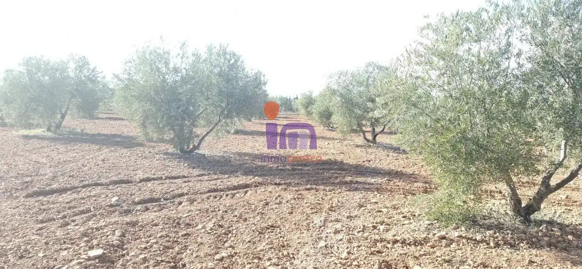 Casa rústica en venda a Valdepeñas, imagen 4