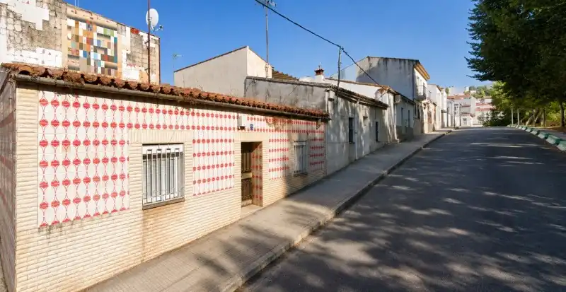 Vista exterior de Casa o chalet en venta en Cáceres con Jardín privado y Terraza