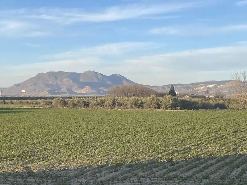 Rural land for sale in Belicena, imagen 4