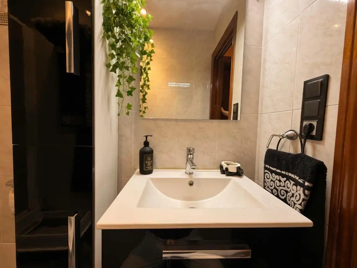 Appartement à vendre à Calle PINTOR ROSALES, imagen 12