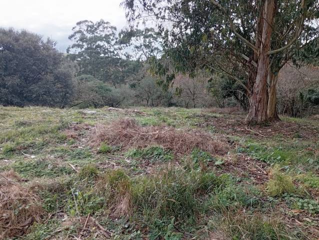 Terreno en Venta en Cuchía