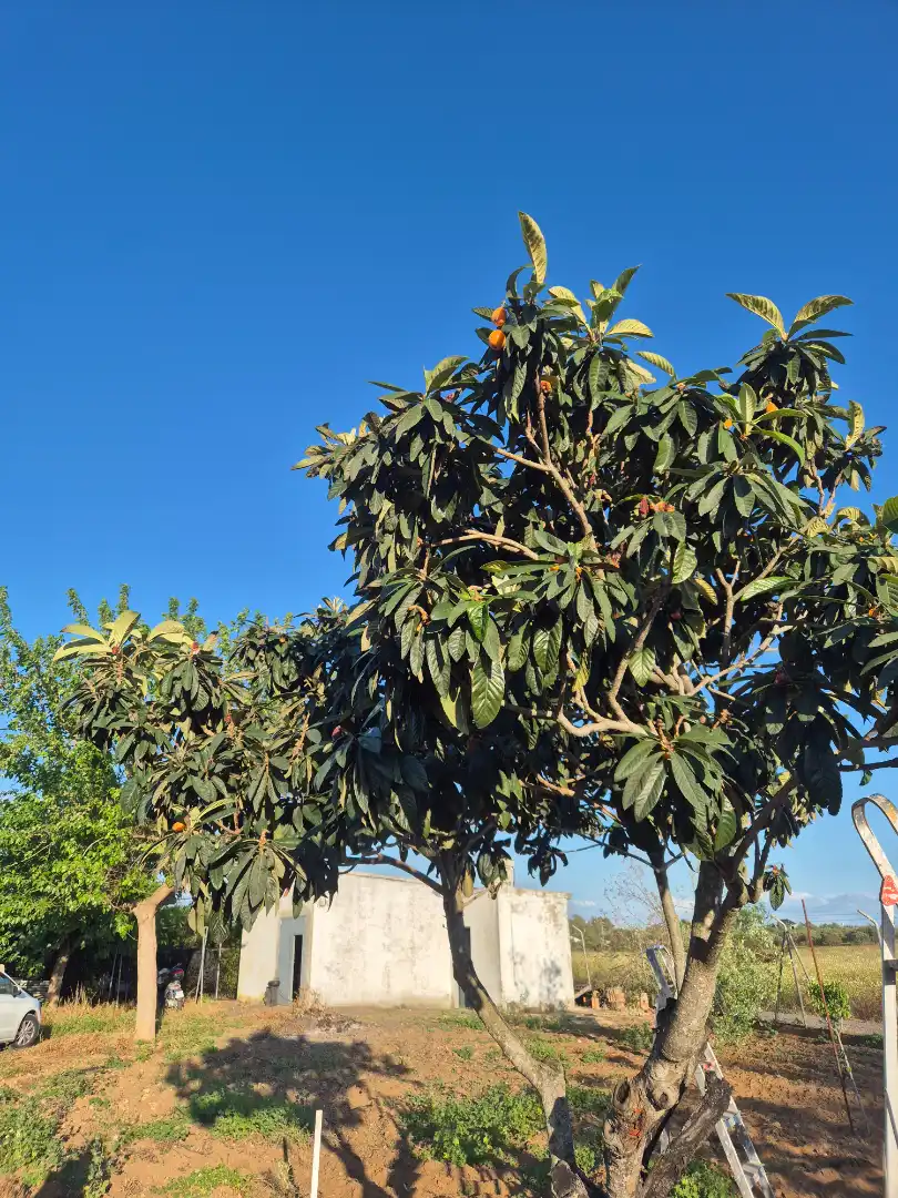 Terreni e lotti in vendita a Avenida María Auxiliadora 40, imagen 14