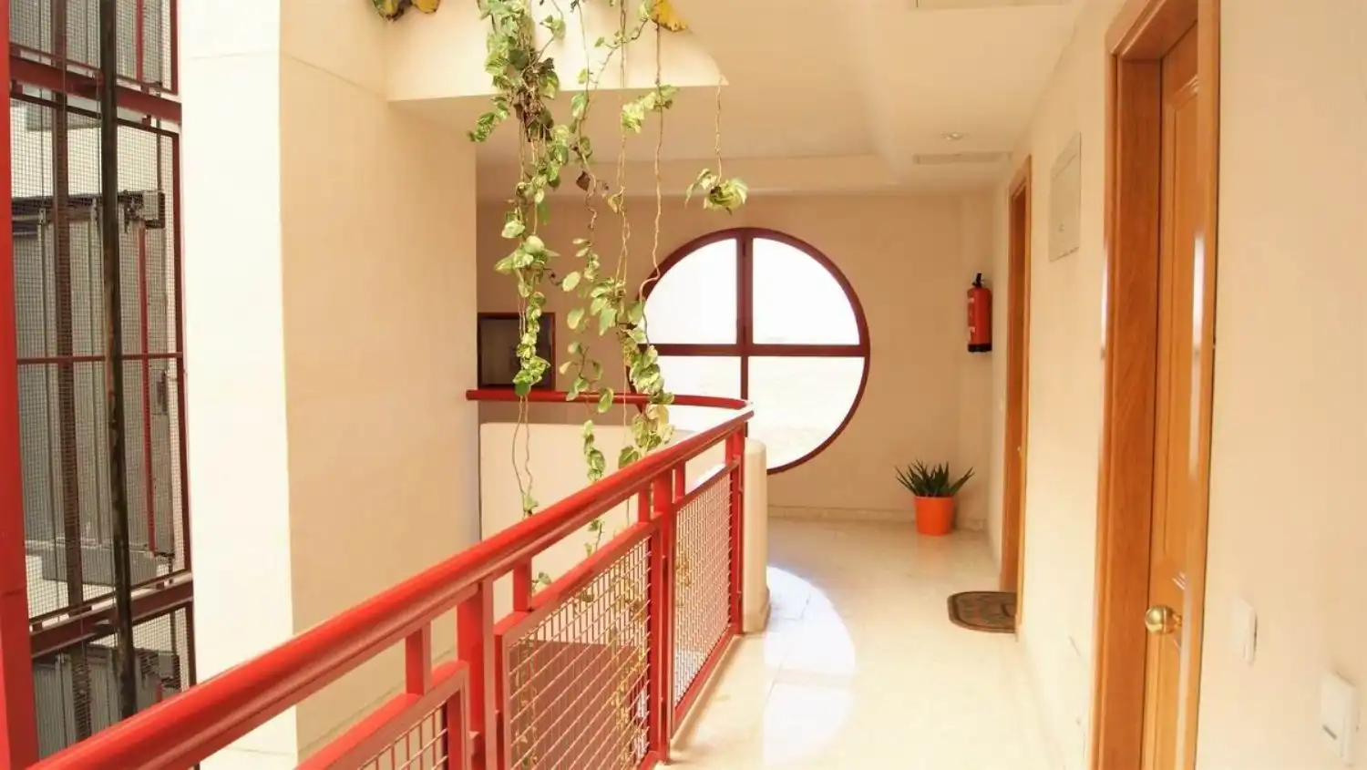 Àtic de lloguer en Alicante / Alacant amb Jardí privat, Terrassa i Moblat
