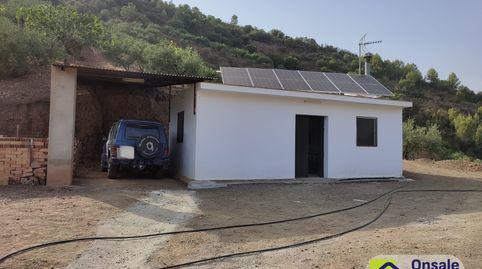 Se venden dos magníficos terrenos rústicos colindantes, immagine 3