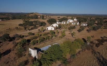 Exterior view of Land for sale in Calañas