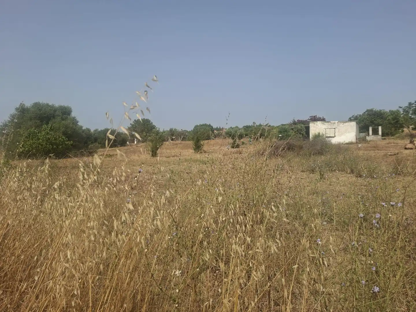 Residential land for sale in Pelagatos - Pago del Humo, imagen 9
