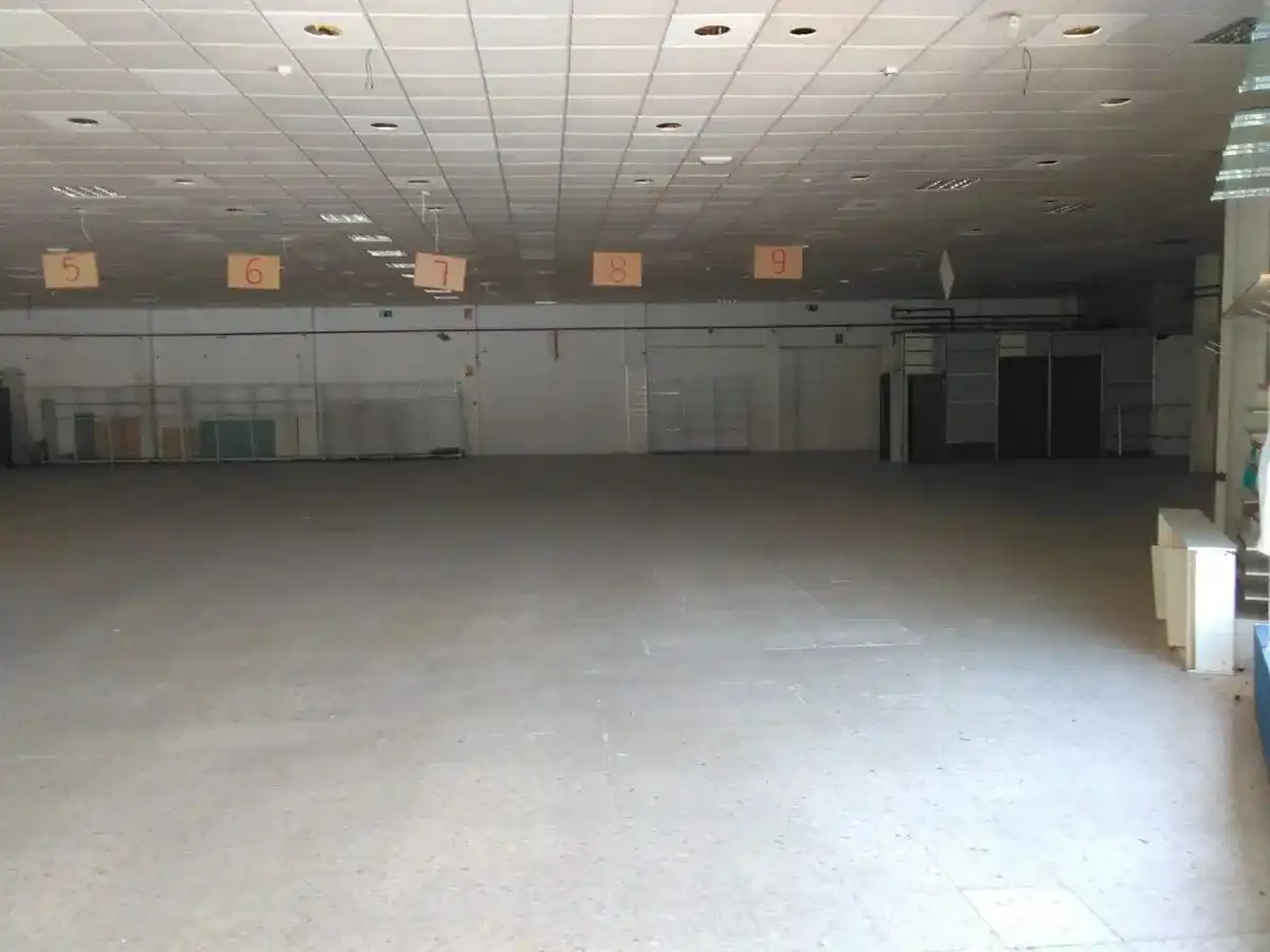 Industrial building for sale in Centro - Doña Mercedes, imagen 6