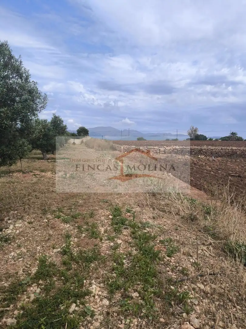 Terrenys i solars en venda a Sa Pobla, imagen 27
