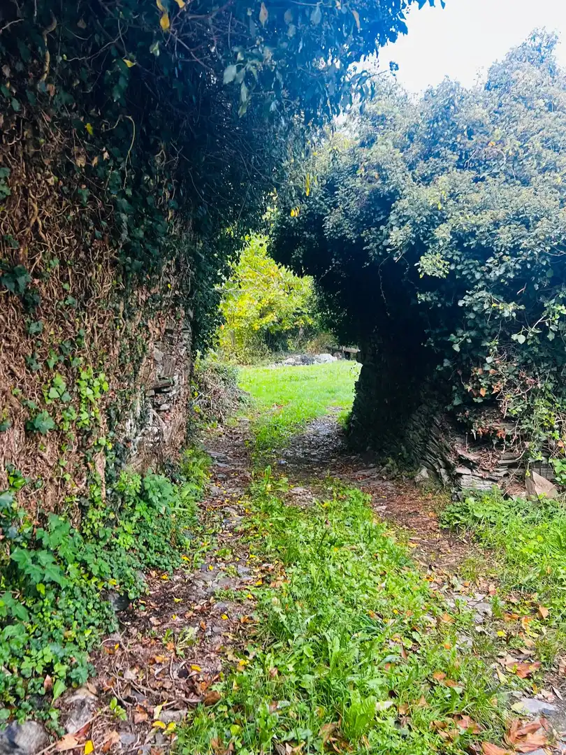 Vista exterior de Finca rústica en venta en O Incio , Lugo