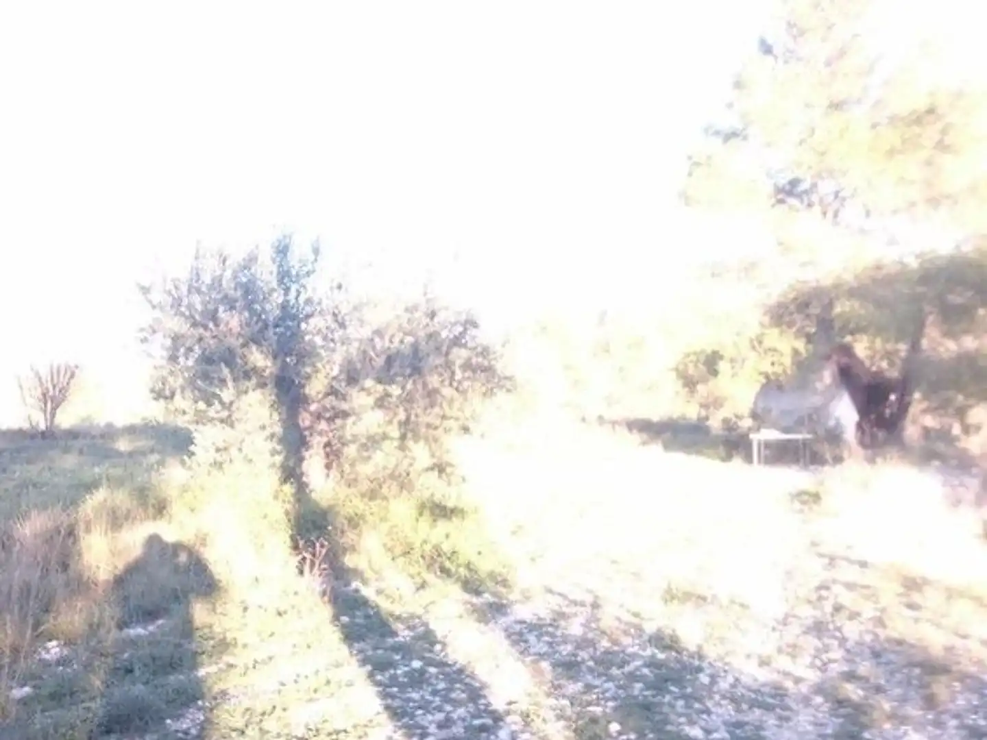 Terreni e lotti in vendita a Moratalla, imagen 18