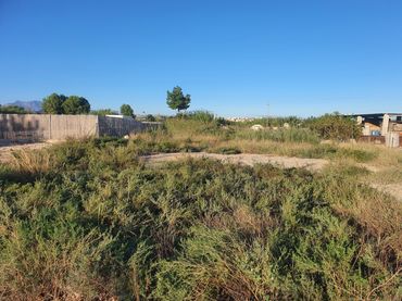 Terreno rustico in vendita a Ceutí