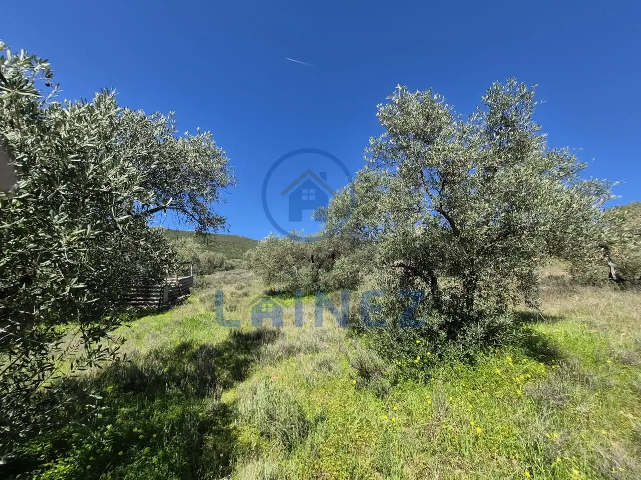 Grundstücke zum Verkauf in Peñarroya-Pueblonuevo