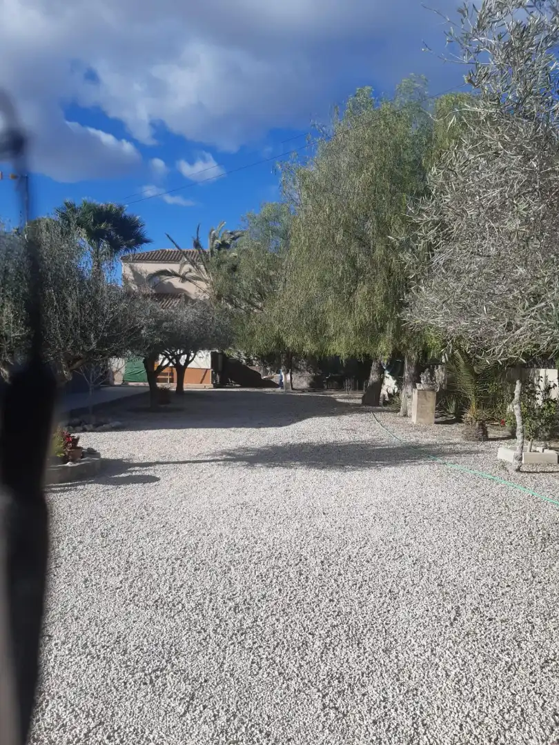 Vista exterior de Casa o chalet en venta en Elche / Elx con Terraza, Piscina y Amueblado